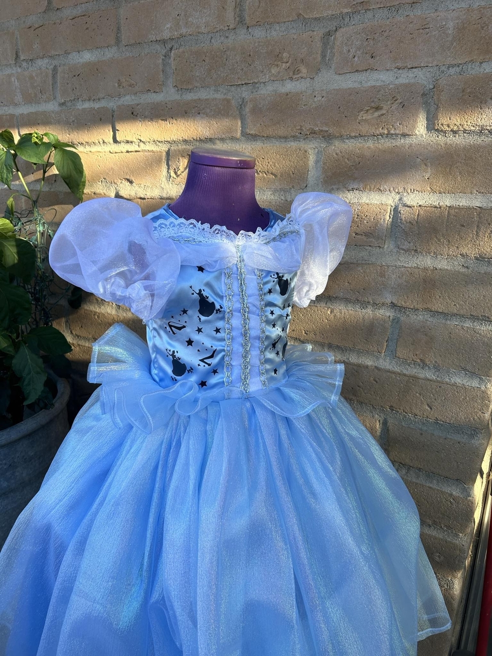 Blue Princess Tutu Dress Kids Costume Cinderella